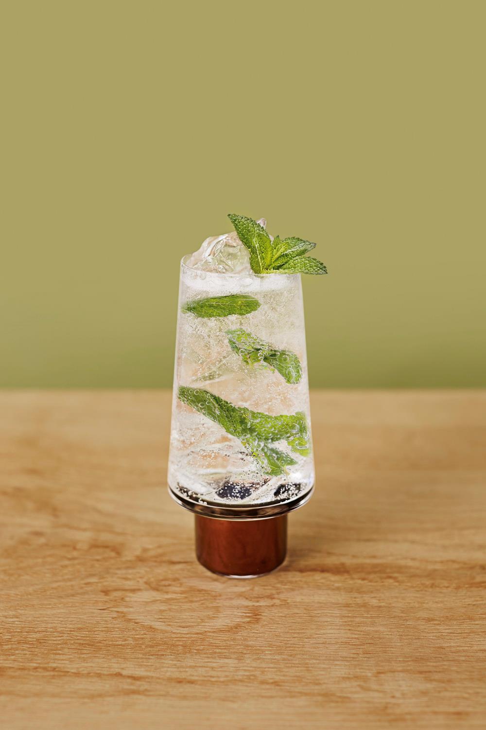 Website PDP Update 1000X1500 Gardenmojito (1)